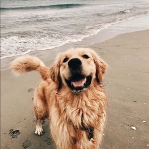 Meet your Posher, Addy